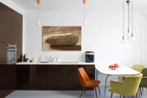 Tableau déco contemporain cacahuète