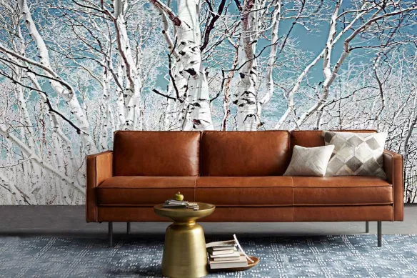 Papier peint salon bouleau scandinave