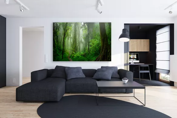 Toile décoration murale foret jungle