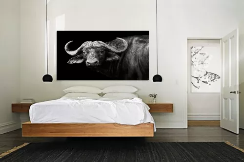 Toile animaux buffle Paisible