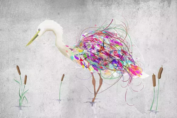 Peinture Animaux Héron Couleur