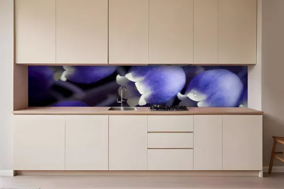 Credence deco muscari