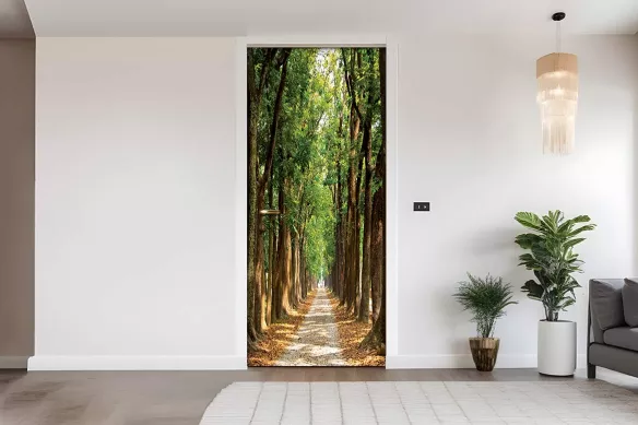Decoration porte chemin forestier