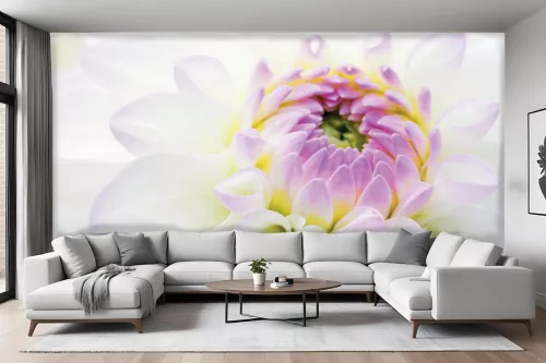 Papier Peint fleur Dahlia