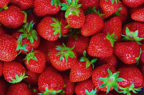 Tableau deco  cuisine Fraises