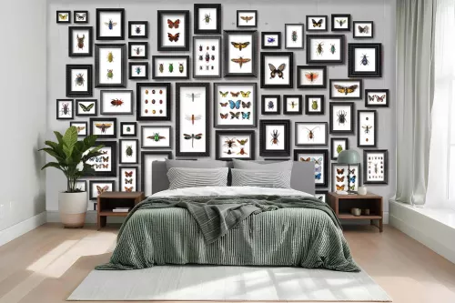 Papier peint couloir Collection de Papillons