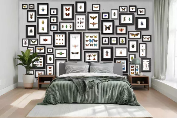 Papier peint couloir Collection de Papillons