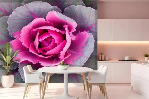 Papier peint chou rose