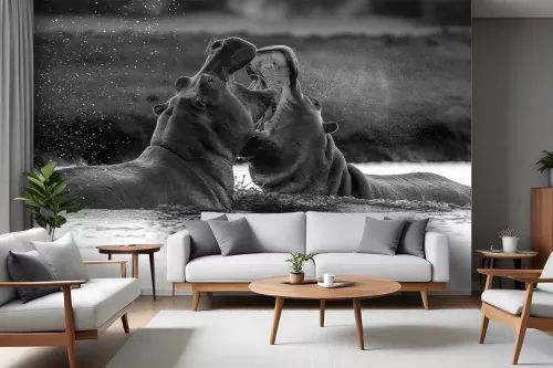 Poster mural Hippopotames