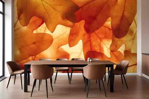 Papier peint déco Forêt d'Automne