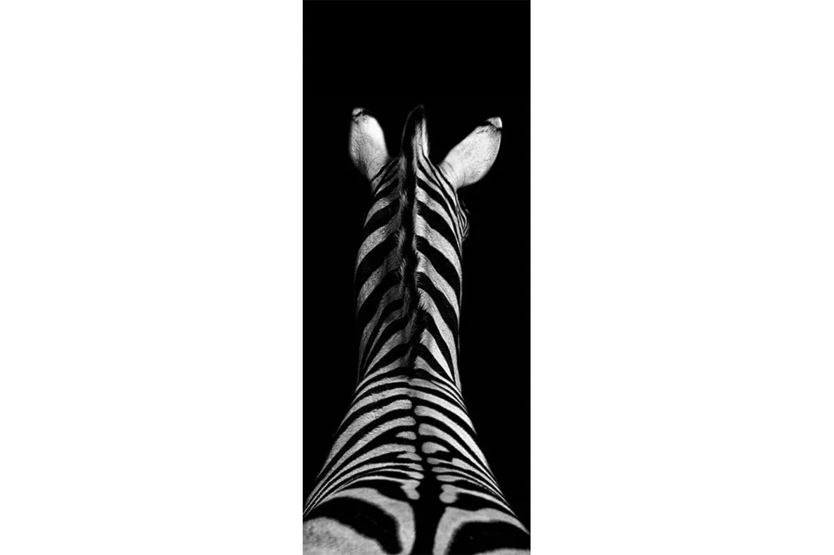Sticker de Porte de salon Noir et Blanc - Zèbre de Dos