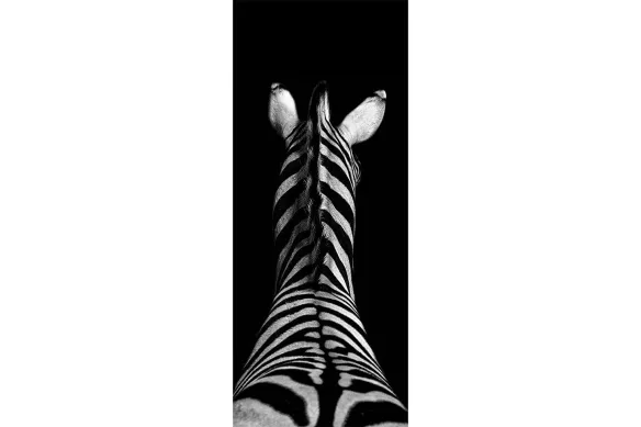 Sticker de Porte Noir et Blanc - Zèbre de Dos