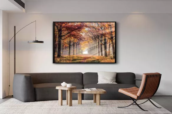 Tableau en verre - Brume automnal pour salon orange