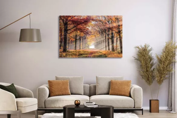 Tableau en verre foret pour salon - Brume automnal