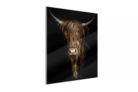impression en Verre - l’ombre du yack