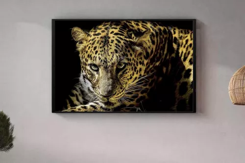 Tableau en Verre avec encadrement bois noir - Guépard Iconique