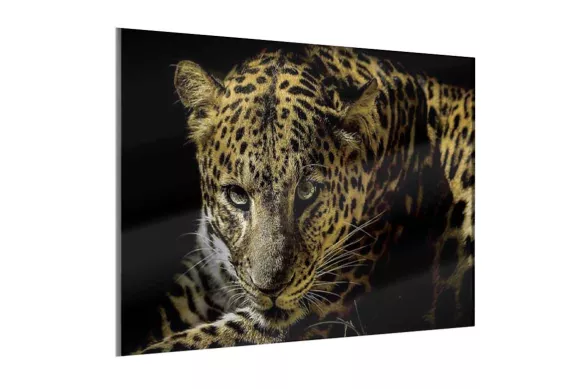 Tableau en Verre avec encadrement bois noir - Guépard Iconique