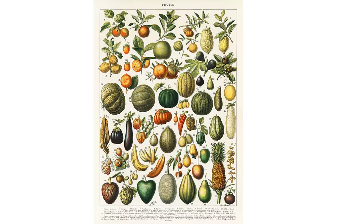 Tableau Cuisine Ensemble Fruits Vintages