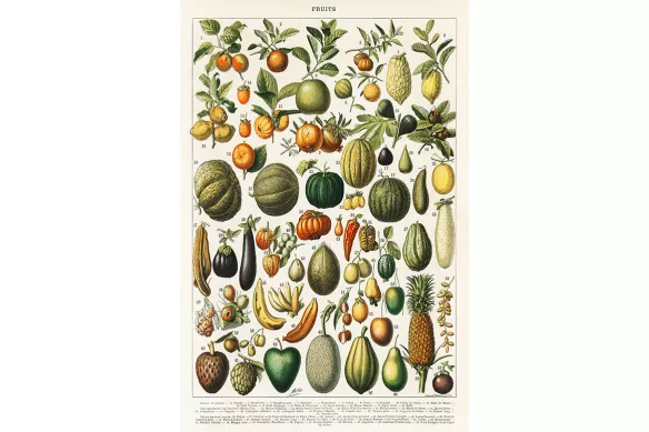 toile Cuisine Ensemble Fruits Vintages