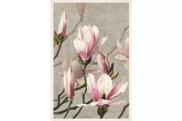 tableau déco murale  Magnolia Vintage