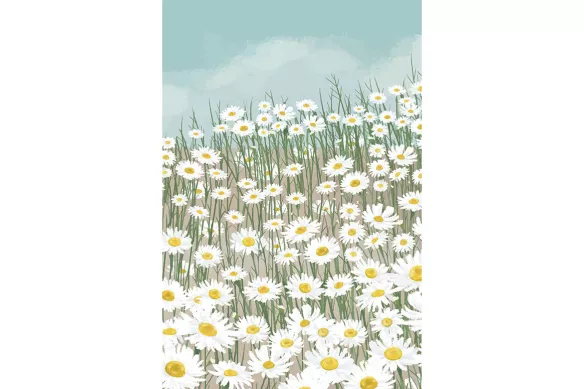 toile Fleuri Brise des Marguerites
