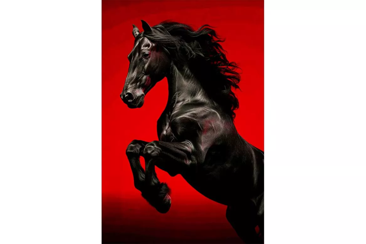 Tableau Déco salon - Le cheval noir