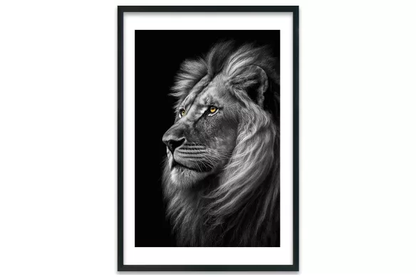 Tableau  Lion noir et blanc - Regard Impérial cadre-noir-portrait-avec-bordure