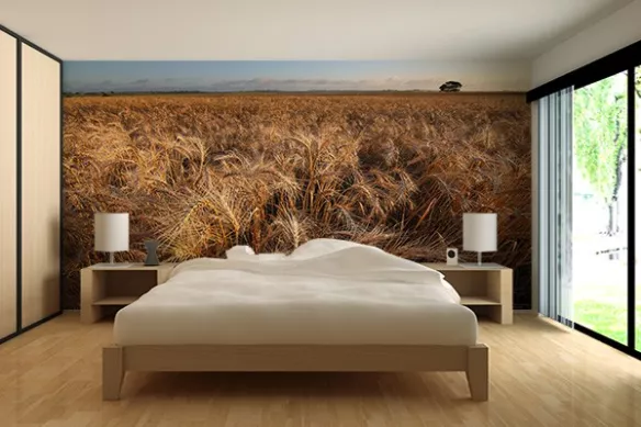 Papier peint chambre Blé doré