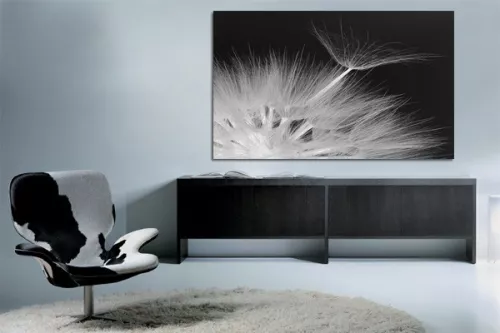 Tableau décoratif Pissenlit 