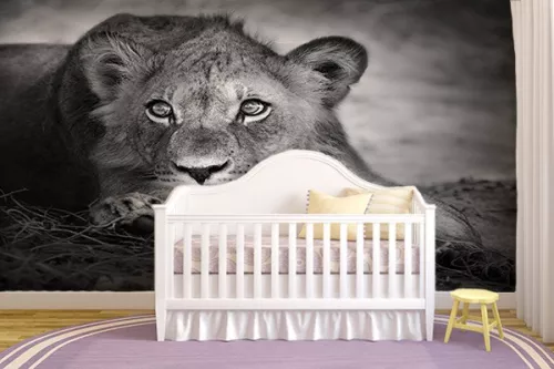 Papier Peint Deco Lionceau