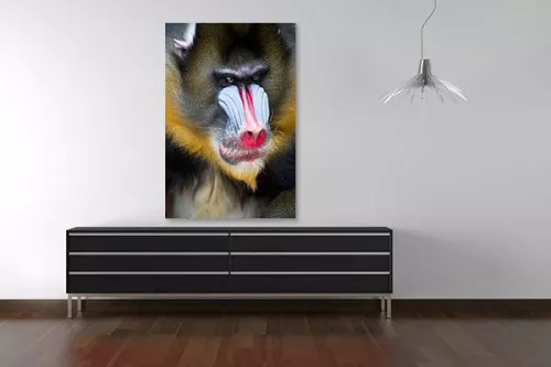 Tableau déco Mandrill