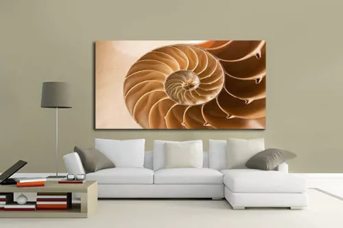 Tableau original Coquille