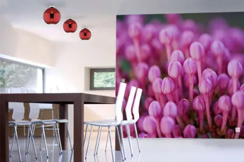 Papier peint Trompe l'Oeil Floraison
