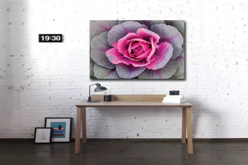 Tableau déco choux