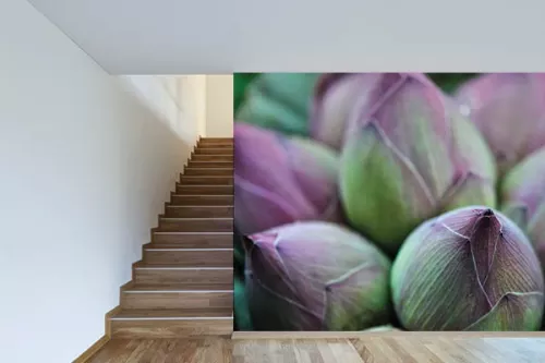 Papier peint design Bourgeons Lotus