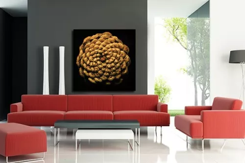 Tableau décoration Fruit du Pin