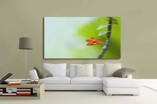 Tableau déco Mise au vert