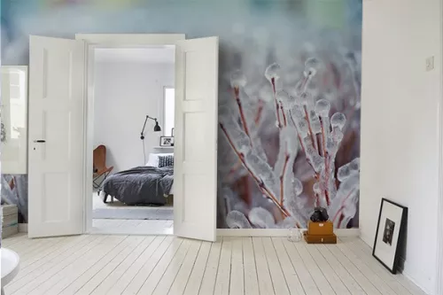Papier peint photo gel matinal
