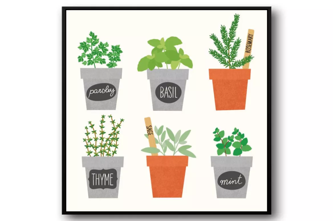 Tableau plantes Aromates design painting_black_frame_square