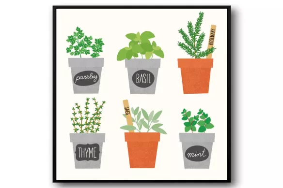Tableau plantes Aromates design cadre-noir-carre