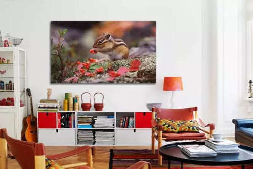 Tableau décoration Ecureuil