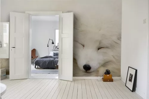 Papier peint photo renard blanc