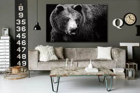 Tableau noir et blanc Ours