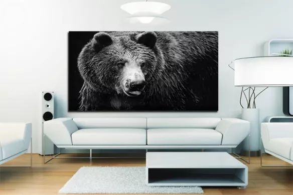 Tableau noir et blanc grizzly