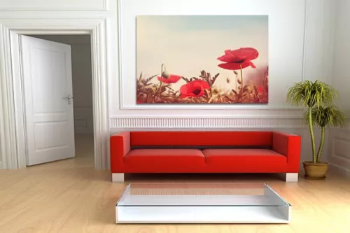 Décoration design avec Tableau XXL Coquelicots Rouges