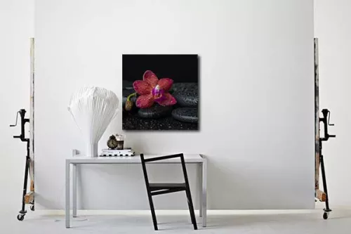 Tableau photo fleur Mahora