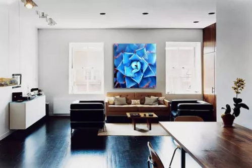 Tableau moderne Fleur bleue Tequila