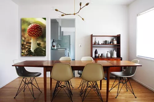 Tableau déco champignons forestiers