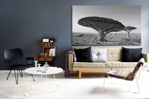 Tableau noir et blanc savane