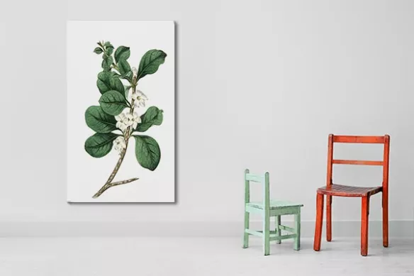 Tableau décoration Fleur Dessinée 